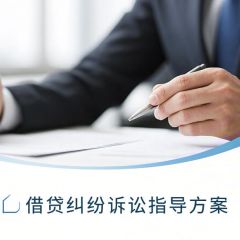 借贷纠纷诉讼指导方案